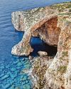 Maltese pleaser41