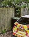 Arrest after woman killed in dog attack13