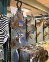 Inside trophy hunter show they banned29