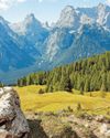 Hottest trends for summer adventure40