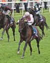 O'Brien eyes derby double as he hails 'battle-hardened' new Classic king O'Brien eyes derby double as he hails 'battle-hardened' new Classic king44