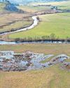 Flood plain restoration is good news for wildlife Flood plain restoration is good news for wildlife