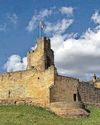 Castle is closed as low visitor count puts future at risk Castle is closed as low visitor count puts future at risk