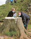 Sycamore Gap jury shown phone footage of tree's felling Sycamore Gap jury shown phone footage of tree's felling