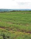 'Solar farm plan doesn't feel like it is right for us' 'Solar farm plan doesn't feel like it is right for us'
