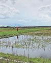 Mapping data shows 80% of England's peatlands are dry Mapping data shows 80% of England's peatlands are dry