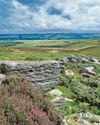 Major milestone in bid to buy Rothbury Estate1