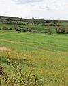 Controversial solar farm plan set for green light8