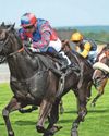 Big Mojo can land a July Cup shock at Newmarket50