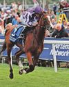 Minnie Hauk to win Arc and Angel to star in Sun48