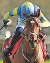 Godolphin filly can strike gold29