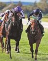Zavateri stars in a season to remember27