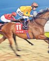 Heathcliff can shine over seven furlongs at Kempton29