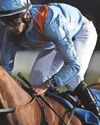 Silkie Wilkie is the pick for Newcastle Silkie Wilkie is the pick for Newcastle28