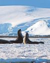 Cold fear: Why Antarctica's ice is so important to us32