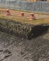 Huge expansion of North Sea wind farms to be unveiled3
