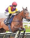 HORSE POWER Sober Glory one to keep a clear head at Aintree38