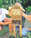 Check-in time for minibeasts56