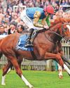 Gosden colt ready for a Dam good tilt at glory33