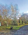 Concerns over youths plaguing popular park6