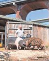 Farm at heart of the community for 50 years Farm at heart of the community for 50 years19