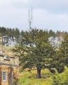 'Mass eviction' leaves residents of estate in fear of homelessness 'Mass eviction' leaves residents of estate in fear of homelessness3