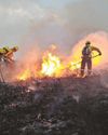 Service chosen to be one of country's wildfire response teams8