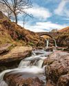 Exhibition promises to be picture perfect Exhibition promises to be picture perfect