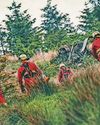 Fires continue after warnings are ignored Macclesfield Express