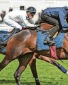 Night Raider can grab the Duke Of York crown