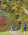 Park set for enhancements after funding boost7