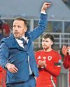 HONOUR THE SHIRT, WALES STARS TOLD30