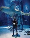 Snakes, sharks, sneaky hippos... wildlife is my safe space23