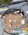Trial aims to clean up marina waters0