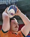 Wallabies release players to the Reds28
