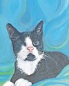 Josie wins regional round of pet charity's art contest6