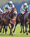 Cotai Belle can grab victory in Super Sprint at Newbury Cotai Belle can grab victory in Super Sprint at Newbury17