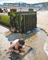 Sewage pollution incidents reach a 10-year high2