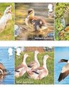 Quacking new set of stamps11