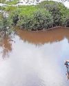 Heartbreak as flash flood kills hundreds of sheep2