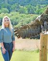 Eagles set to soar in skies of South Wales?1