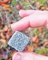 The 'superpowers' of fungi are helping to regrow forests in UK and Europe16