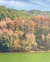 South Wales Evening Post