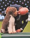 South Wales Evening Post