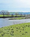 South Wales Evening Post
