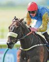 Night Raider to win Temple Stakes at Haydock Park Night Raider to win Temple Stakes at Haydock Park19