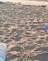 Disgust after beach left covered in litter Disgust after beach left covered in litter6