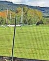 Rugby player knocked out committee man in clubhouse assault4