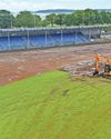 City-wide benefit of ground revamp City-wide benefit of ground revamp1