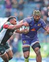 Forgotten Wales star is firmly back in the picture Forgotten Wales star is firmly back in the picture31